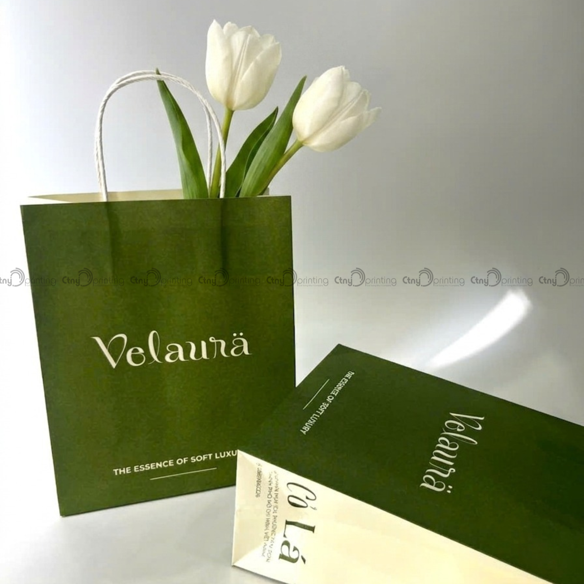 Túi Giấy Kraft - Velaura